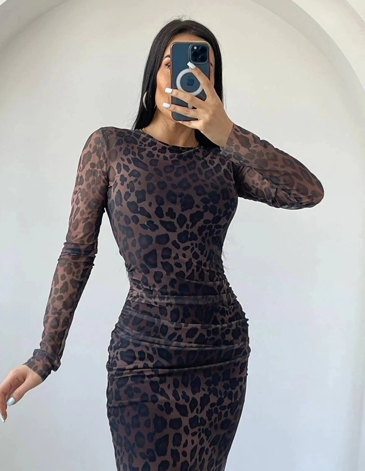 Leopard Crew Neck Fitted Silhouette Dress