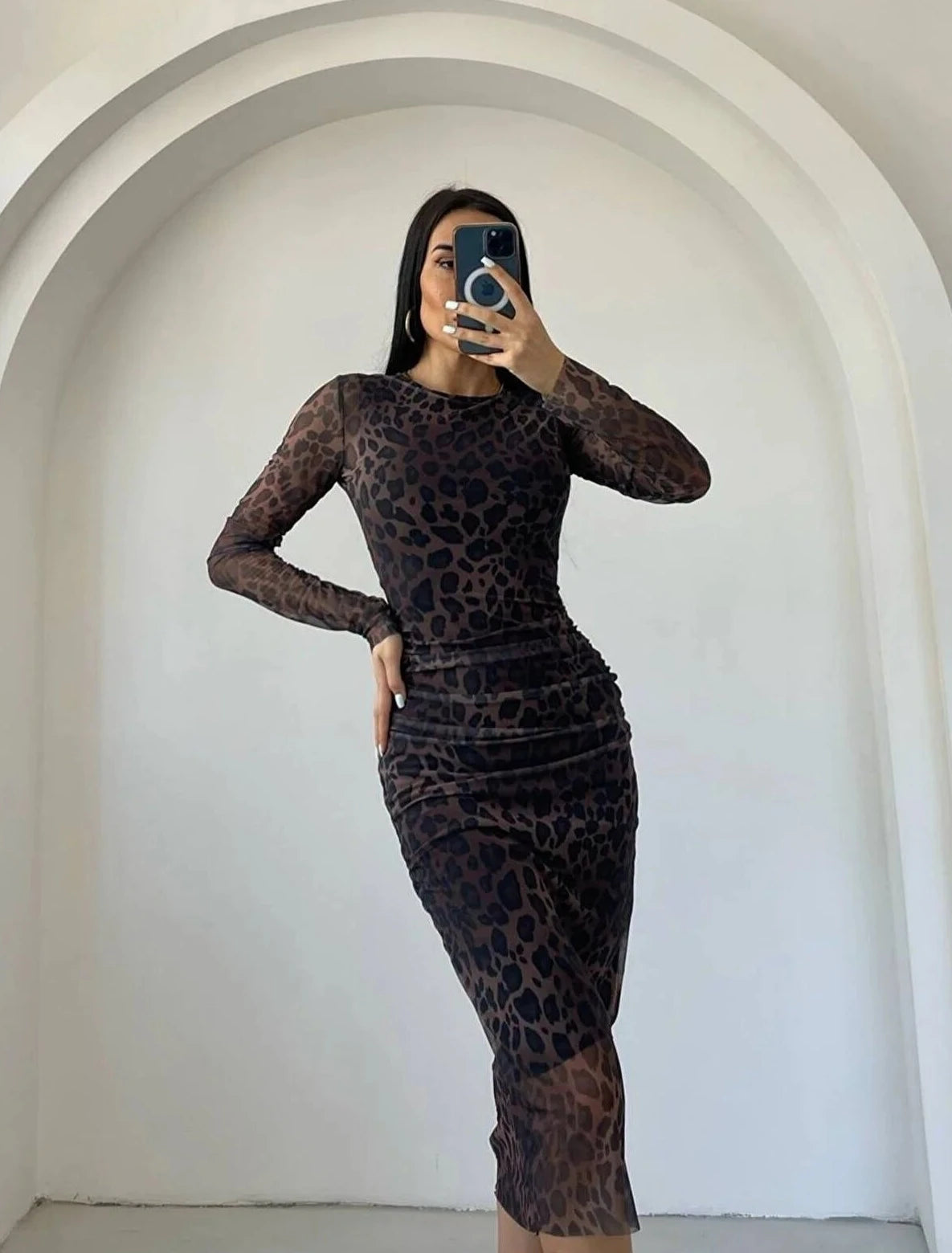 Leopard Crew Neck Fitted Silhouette Dress