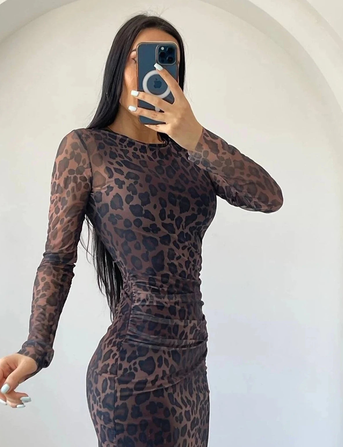 Leopard Crew Neck Fitted Silhouette Dress