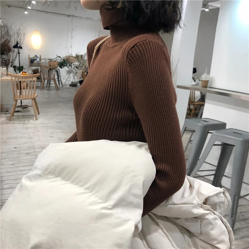 Turtleneck Women Korean Sweater