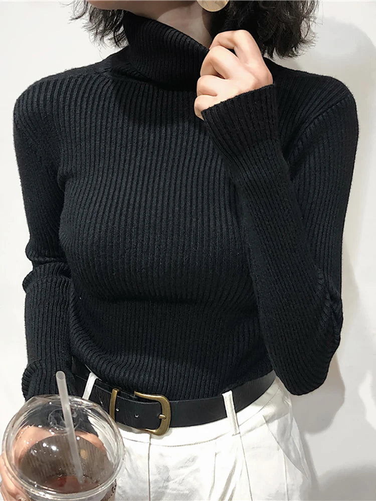 Turtleneck Women Korean Sweater